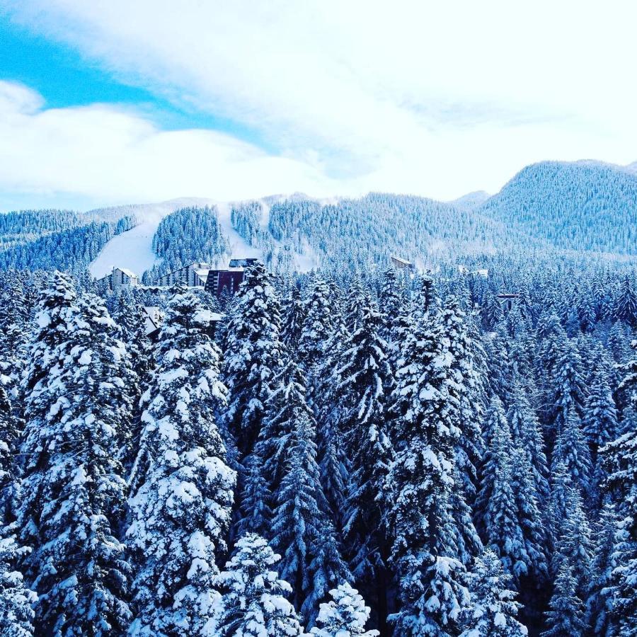Mountain Paradise In Aparthotel Borovets Gardens Εξωτερικό φωτογραφία