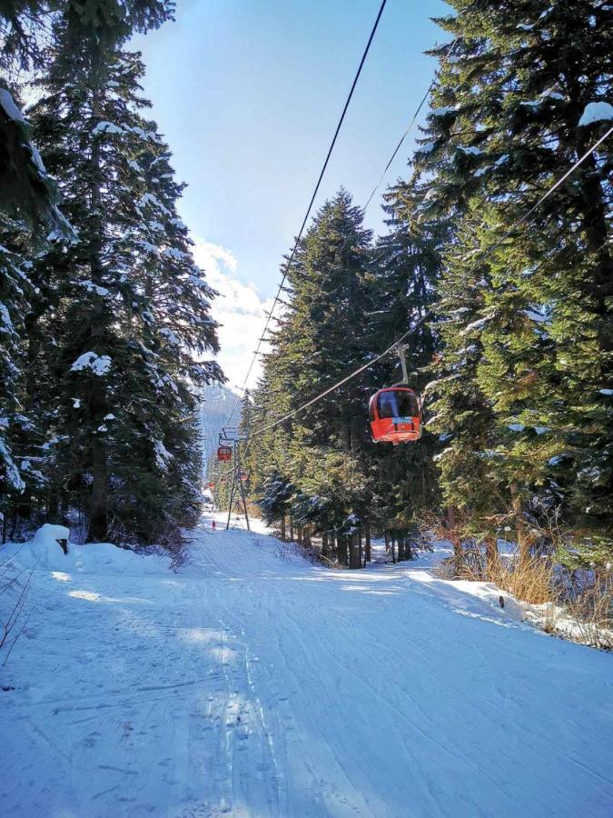 Mountain Paradise In Aparthotel Borovets Gardens Εξωτερικό φωτογραφία