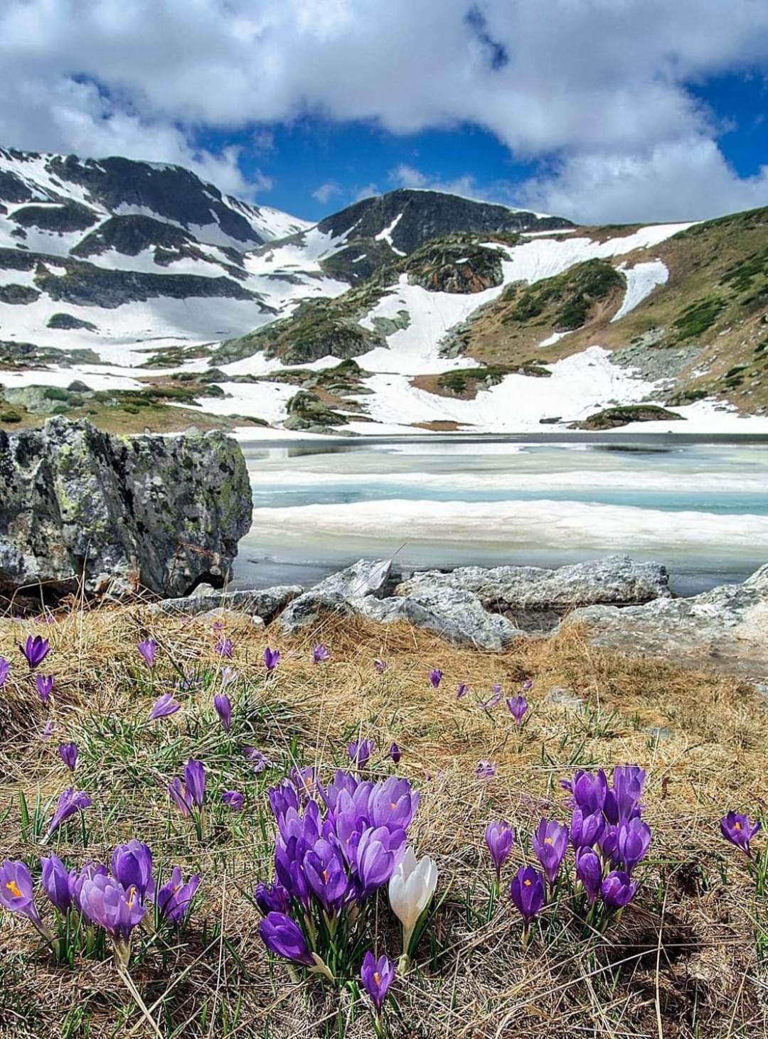 Mountain Paradise In Aparthotel Borovets Gardens Εξωτερικό φωτογραφία